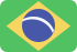 Brasilian portugese language