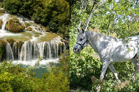 Krka & Horse Riding Tour from Split by That's it